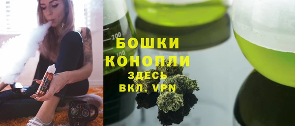 apvp Алзамай