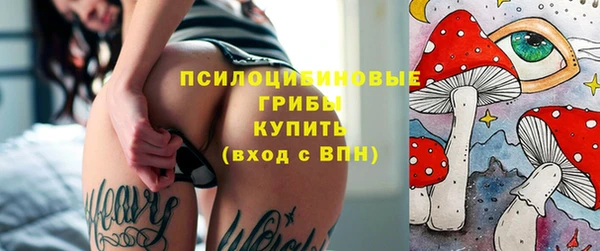 хмурый Алексеевка