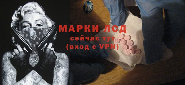 apvp Алзамай
