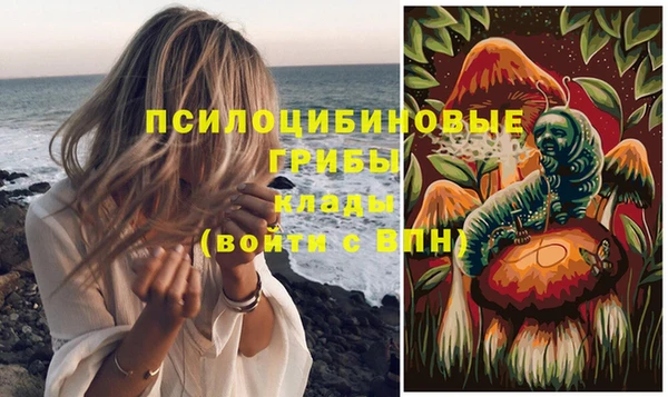 apvp Алзамай